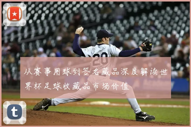 从赛事用球到签名藏品深度解读世界杯足球收藏品市场价值