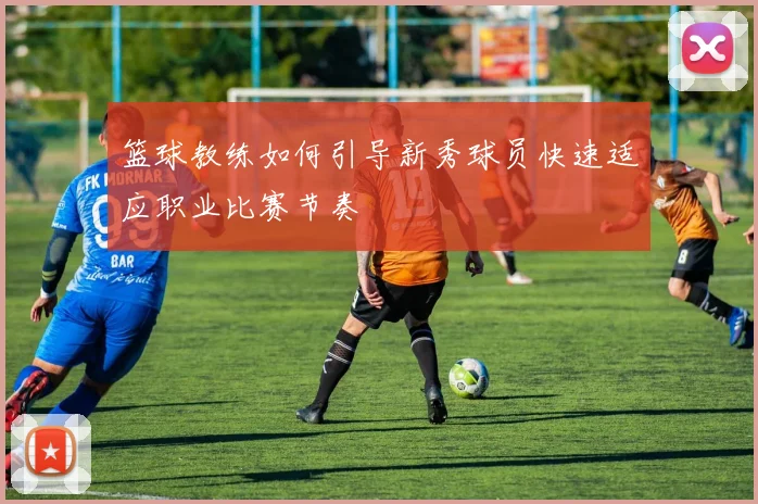 篮球教练如何引导新秀球员快速适应职业比赛节奏